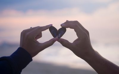 Engage the Intelligence of Your Heart